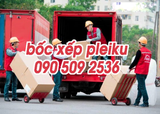 dịch vụ bốc xếp hàng tại pleiku gia lai